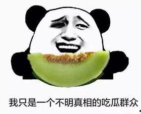 当个吃瓜群众就好